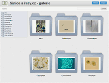 Tablet Screenshot of galerie.sinicearasy.cz